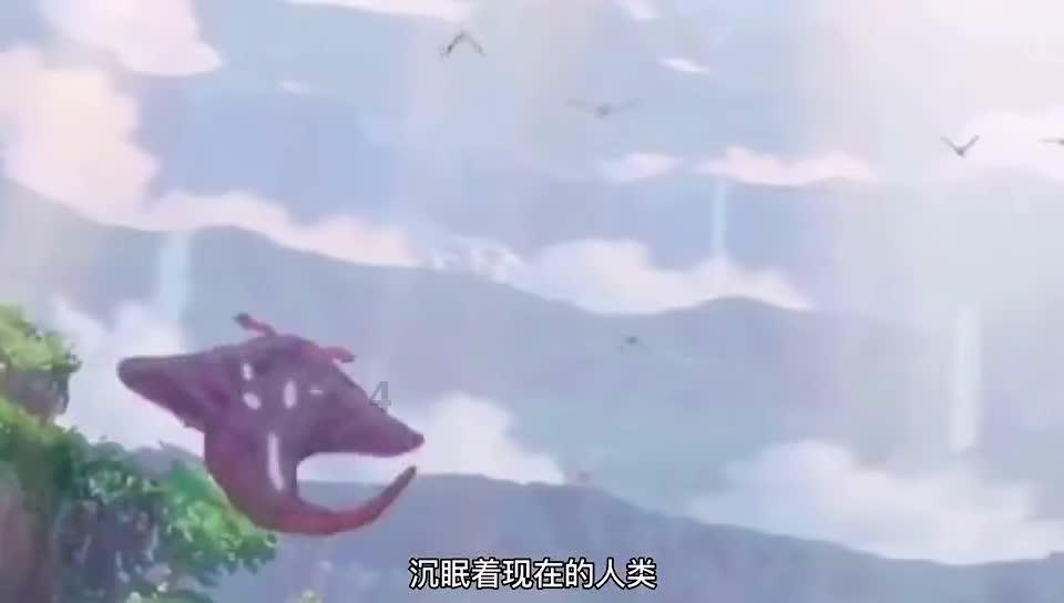 创作猫